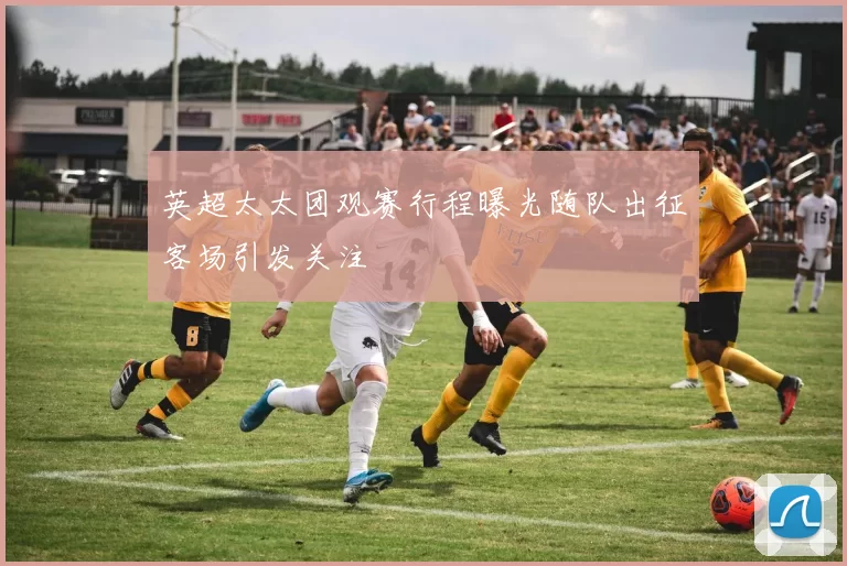 英超太太团观赛行程曝光随队出征客场引发关注